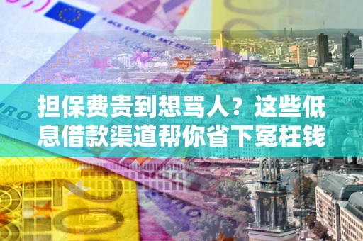 济南担保费贵到想骂人？这些低息借款渠道帮你省下冤枉钱
