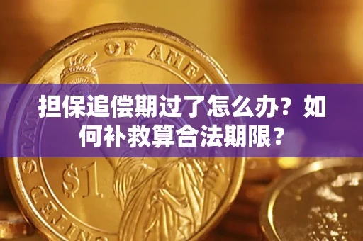 济南担保追偿期过了怎么办？如何补救算合法期限？