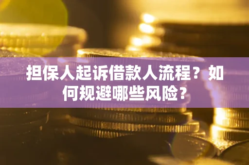 济南担保人起诉借款人流程？如何规避哪些风险？